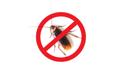 Anti cockroach, pest control. Stop insects sign.cockroach with caution sign pest control in red...