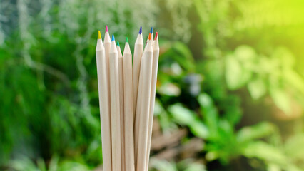 Wooden colorful pencils with nature background,Colored pencils group,Office supplies,Crayon,stationary