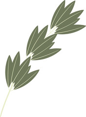 simple abstract rosemary plant branch