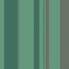 Stripes vector seamless pattern. Striped background of colorful lines. Print for interior design, fabric.