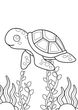 Turtle Underwater Animals Coloring Pages A4 for Kids and Adult