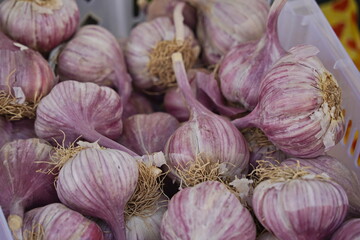 Sale of garlic heads on the market.