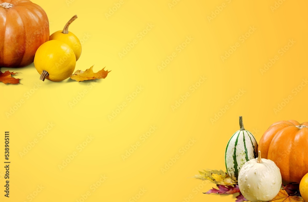 Canvas Prints Set of autumn fresh colored pumpkins and leaves