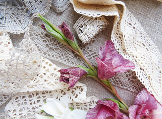 Art flower background . Beautiful photo gladiolus  flower and russian bobbin lace  on a textile  background.  Dark vintage background with Spring flowers. Top view. Place for text.