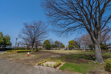 荒川自然公園
