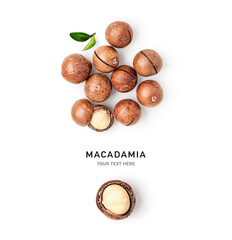 Macadamia nuts creative layout.