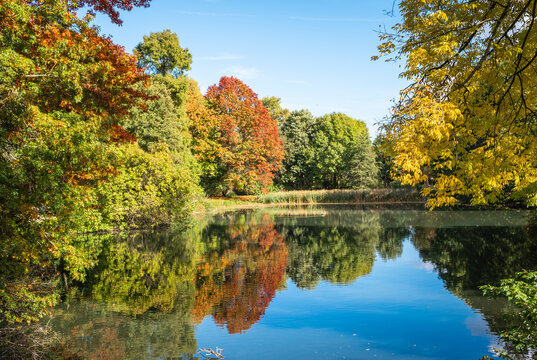 Natural landscape with reflection of the trees in the lake. Autumn season. Rivierenhof park in Antwerp, Belgium.