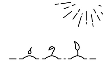 growth stages of a tree from a leaf to a natural plant. Concept of plant growth.