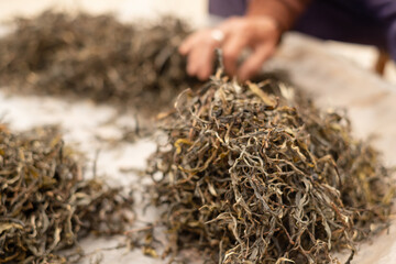 dried green tea leaf. Top tea leaves natural products, are ingredients in making beverages....