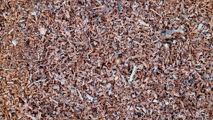 Above view of sawdust densely piled on the ground. for background and textured.
