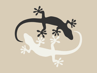 Obraz na płótnie Canvas Geckos in black and white sandy background