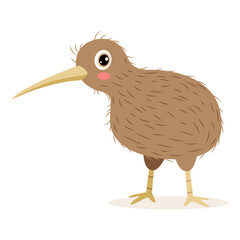 Cartoon Drawing Of A Kiwi Bird
