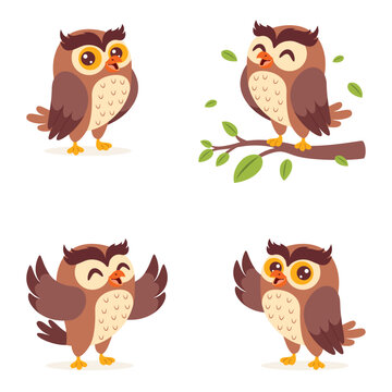 Education Concept  With Cartoon Owl
