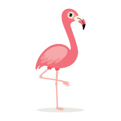Cartoon Drawing Of A Flamingo