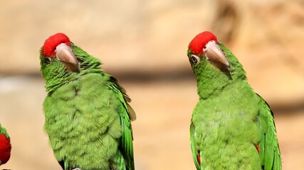 we do it the same way!