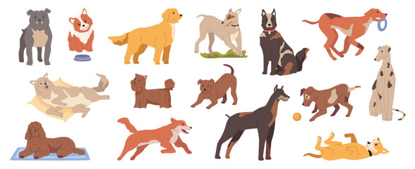 Puppies and grown dogs life, isolated canine animals with smooth fur playing and being active. Lifestyle of domestic pets at home. Vector in flat style