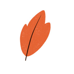 Dry Leaf Hand drawn Illustration