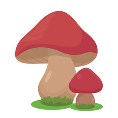 Cute red mushrooms. Natural and organic forest products. Poster or banner for website, plants and flora. Symbol of love for nature and care. Fresh food and eating. Cartoon flat vector illustration
