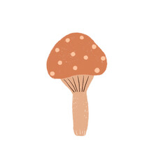Mushroom Hand drawn Illustration