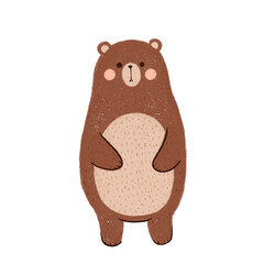 Bear Hand drawn Illustration