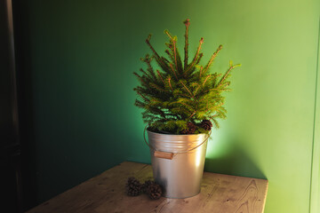 Christmas tree in a pot on a green background on a wooden table