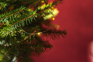 Christmas tree close up with led lights decoration on a red background. Asset for Christmas and New Year's Eve