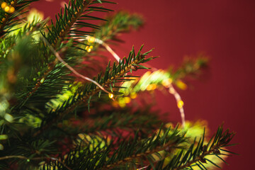 Obraz premium Christmas tree close up with led lights decoration on a red background. Asset for Christmas and New Year's Eve