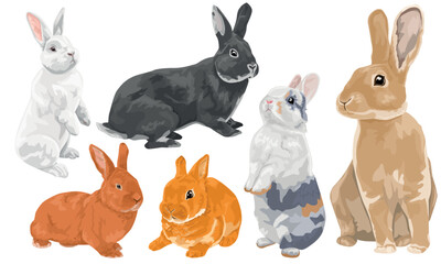 set of different colored domestic rabbits. decorative hares and rabbits. symbol of the year. easter animal vector