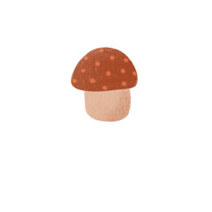 Mushroom Hand drawn Illustration