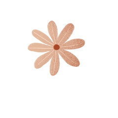 Autumn Flower Hand drawn Illustration