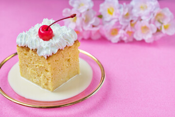 ピンク背景のメキシコの伝統的なデザート　パステル・デ・トレス・レチェス（3種のミルクのケーキ）コピースペースあり　Traditional Mexican dessert Pastel de Tres Leches (Three Milk Cake) with copy space on pink background