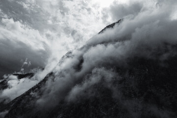 Tree ridge on in the mountains