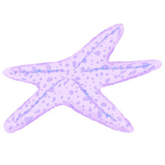 Starfish Sea Beach Watercolor Paint