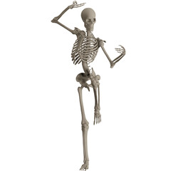 skeleton posing 3d render illustration
