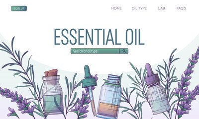 Vector website background for essential oil. Rosemary oil. Lavender oil. Glass bottle with dropper. Pipette. Vector illustration for cosmetic, perfumery, aromatherapy, medicinal plant.