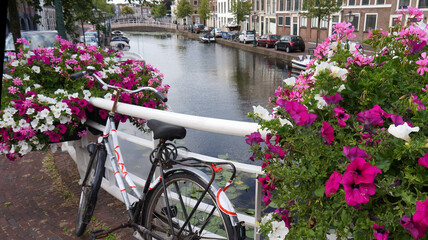 A bicycle is parked against a bridge railing in Leiden, the Netherlands. The bridge is decorated with  planters with petunia flowers