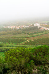 Fototapeta na wymiar misty village view over cultivated meadows and fields