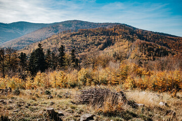 Jesienny krajobraz w Beskidach