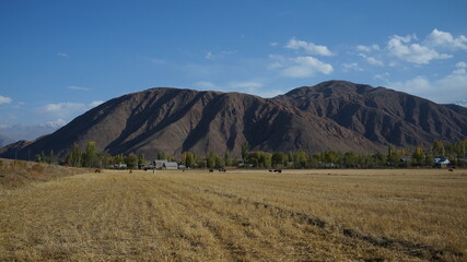 Fototapeta premium pasture near the mountains
