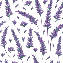 Vector seamless pattern with illustration of lavender isolated on white. For fabric design, textile, essential oil design, wrapping paper decoration. © Gulsim
