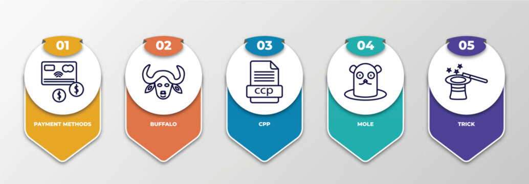 infographic template with outline icons. thin line icons such as payment methods, buffalo, cpp, mole, trick editable vector. can be used for web, mobile, info graph.