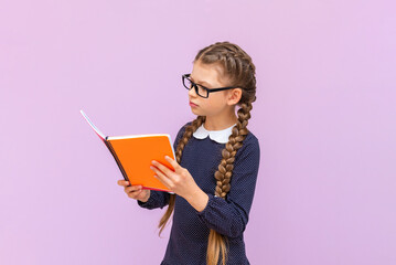 A little girl with glasses holds textbooks in her hands and smiles broadly on a pink isolated...