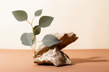  Stones on a beige and brown background and eucalyptus branch. Cosmetic product mockup, eco background