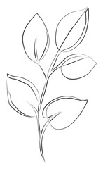 Hand drawn continuous line drawing of branch with leaves. Plants black sketch, aesthetic contour. Minimalist modern botanical prints