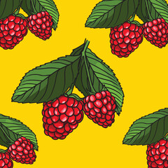 fruit raspberry on yellow background