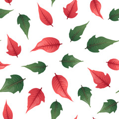 Seamless pattern with red poinsettia leaves on a white background. Suitable for wrapping paper, wallpapers, decor, Christmas decorations