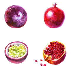 Watercolor illustration, set. Fruit. Pomegranate and passion fruit.
