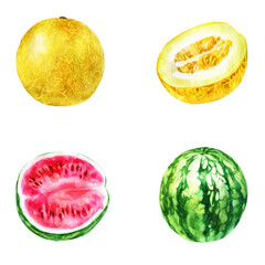 Watercolor illustration, set. Melon, half melon, watermelon, half watermelon. - 538944782