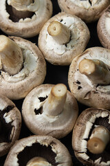 Mushrooms champignons as a background for the image. Fresh delicious mushrooms.