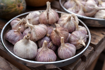 Garlic on sale in the market. Trade at the fair